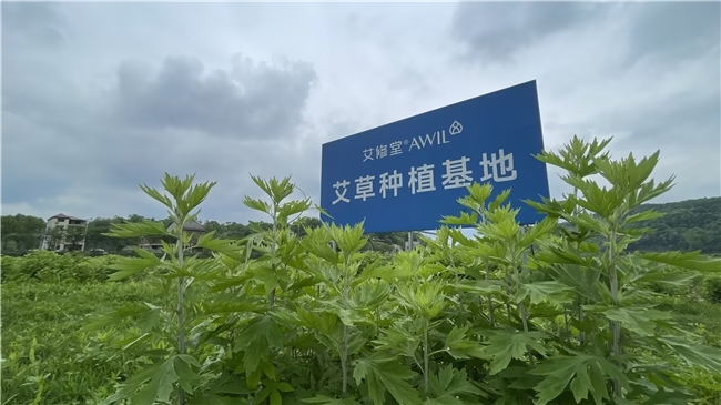 image_144347.png